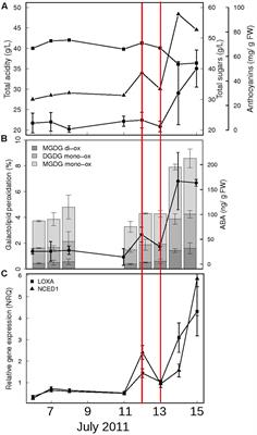 Abscisic Acid Is a Major Regulator of Grape Berry Ripening Onset: New Insights into ABA Signaling Network